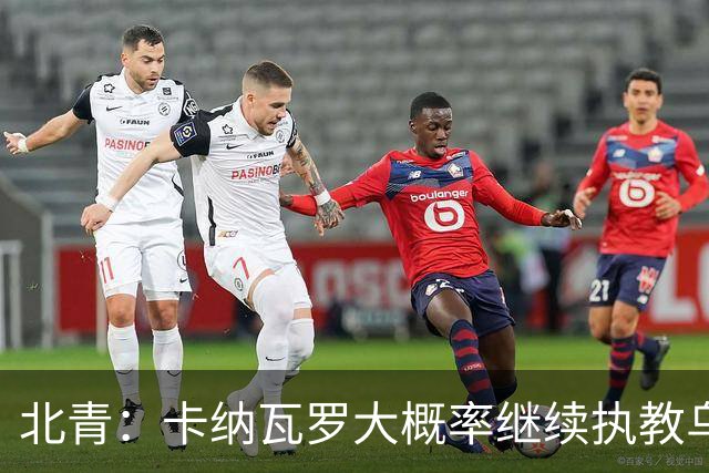 北青：卡纳瓦罗大概率继续执教乌兹别克斯坦，将与国足踢热身赛